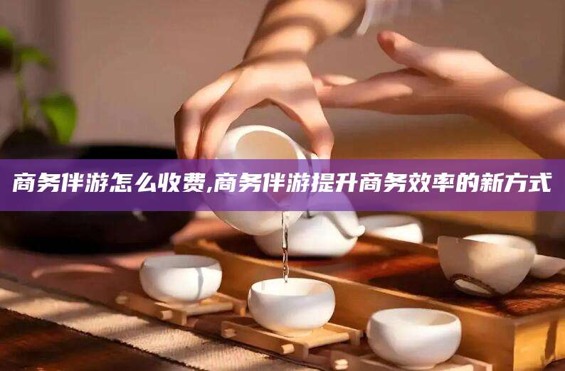 天门商务伴游怎么收费,商务伴游提升商务效率的新方式