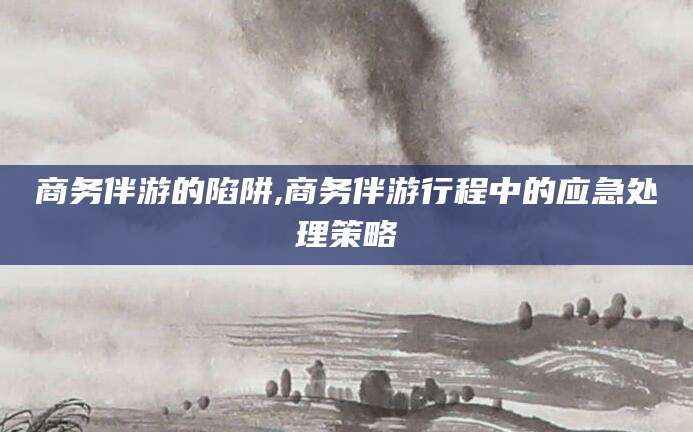 天门商务伴游的陷阱,商务伴游行程中的应急处理策略